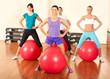 group of people  doing  exercises in a gym