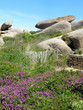 Paysage breton