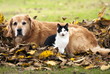 Photo: Friends Friends