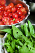 pomodorini e rucola