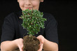 Photo: Cute boy with tree. Cute boy with tree.