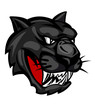 Wild panther