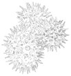 Flower pollen