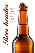 Bottle of beer with drops isolated on white. Beer background Bottle of beer with drops isolated on white. Beer background
