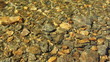 ripple clear water in mountain stream