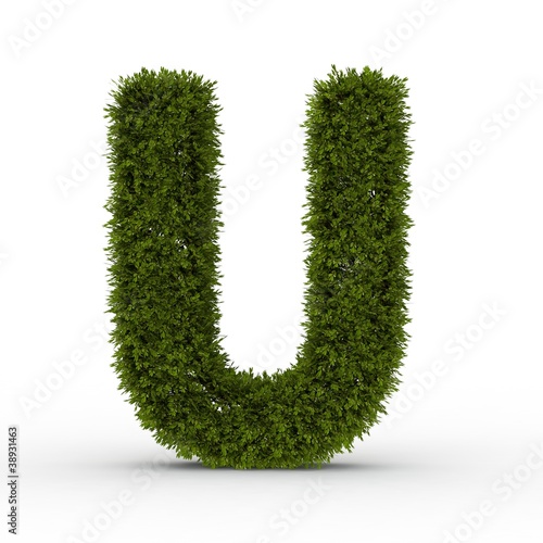 Illustration: Buchstabe U Natur Buchstabe U Natur