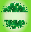 clover background clover background