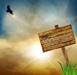 Vektor: Vector landscape with a flying eagle on a background Vector landscape with a flying eagle on a background