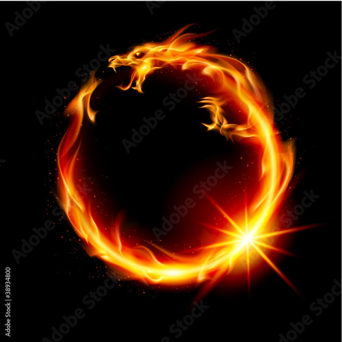 Vector: Fire Dragon Fire Dragon