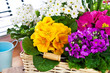 Frühling
