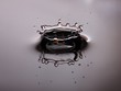 Foto: Wassertropfen mit Ringwelle und Spiegelung Wassertropfen mit Ringwelle und Spiegelung