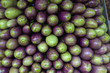 eggplants on sale