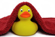 Foto: badeente badeente