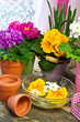 Frühling - Dekoration