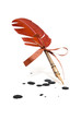 Foto: Feather quill Feather quill