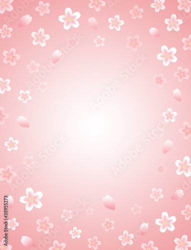 Illustration: 桜 桜