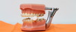Orthodontic care