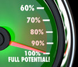 Reaching Full Potential Speedometer Tracking Goal
