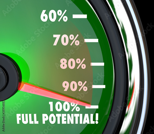 Illustration: Reaching Full Potential Speedometer Tracking Goal Reaching Full Potential Speedometer Tracking Goal