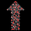 Arrow of aircraft