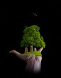 The nature is in the hands of the man - Environment save