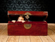 little girl inside an ancient trunk