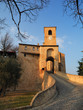 medieval caste
