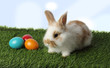 Osterhase