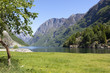 Nærøyfjord