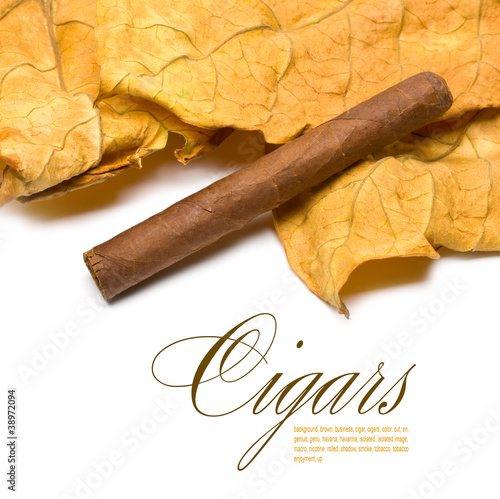 Photo: cigar and leaf cigar and leaf
