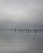 Boats in Fog