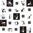 Black and White Cats Icons Different Poses