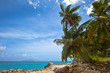 Beautiful seascape with blue Palm,  sky and clouds