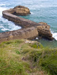 Biarritz rocks with splashing waves, Aquitaine, France