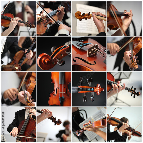 Photo: collage Violin detail musicians to play a symphony collage Violin detail musicians to play a symphony