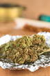 Photo: Dried flowers of Cannabis sativa on tinfoil Dried flowers of Cannabis sativa on tinfoil