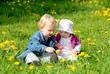Foto: Little Friends Little Friends