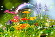 Sommerwiese
