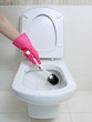 Toilet cleaning