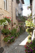 Photo: Spello, old street Spello, old street