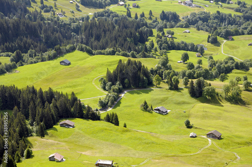Photo: Swiss chalets in fields above Grindelwald Swiss chalets in fields above Grindelwald