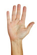 Hand - fünf Finger - freigestellt