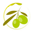 olive oil logo olive oil logo