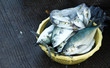 Fresh fish