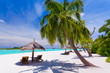 Deck chairs under palm trees on a tropical beach Deck chairs under palm trees on a tropical beach