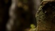 waterfall background