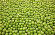 Pile of green apples forming a background