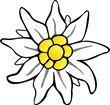 Edelweiß 2