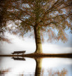 Old wooden bench in autumn park