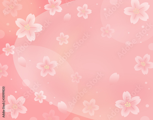 Illustration: 桜 桜